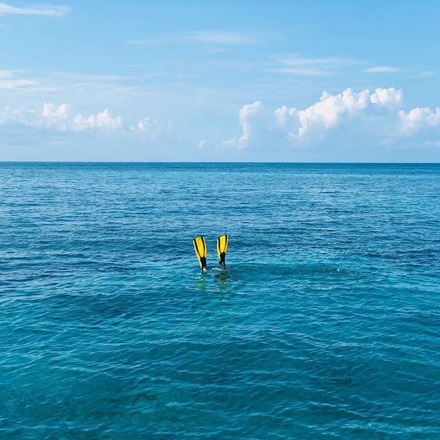 Our villa comes included with chef &amp; maid services, at no extra charge, so you can relax and dive in 🤿