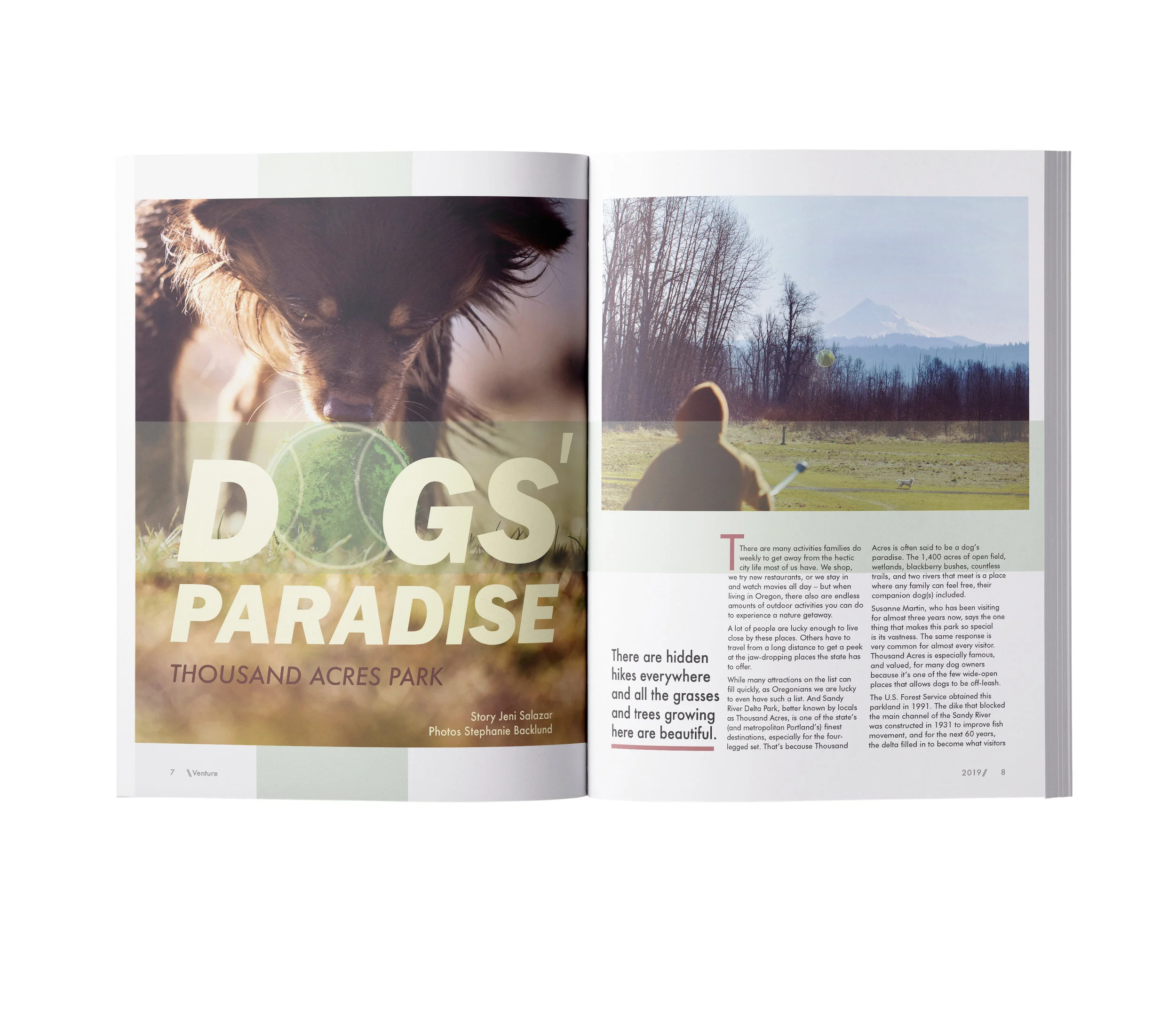 venture_mag_Mock_Up_dog1_2_.jpg