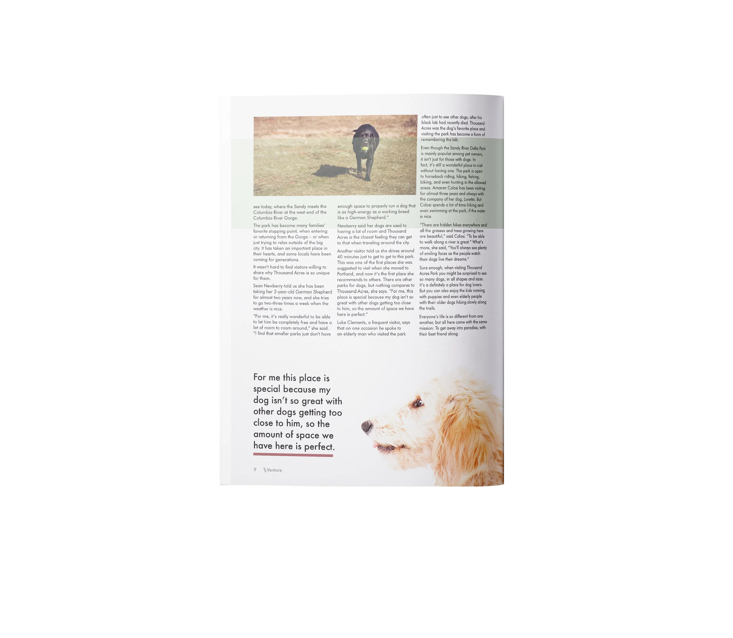 venture_mag_Mock_Up_dog_3_.jpg