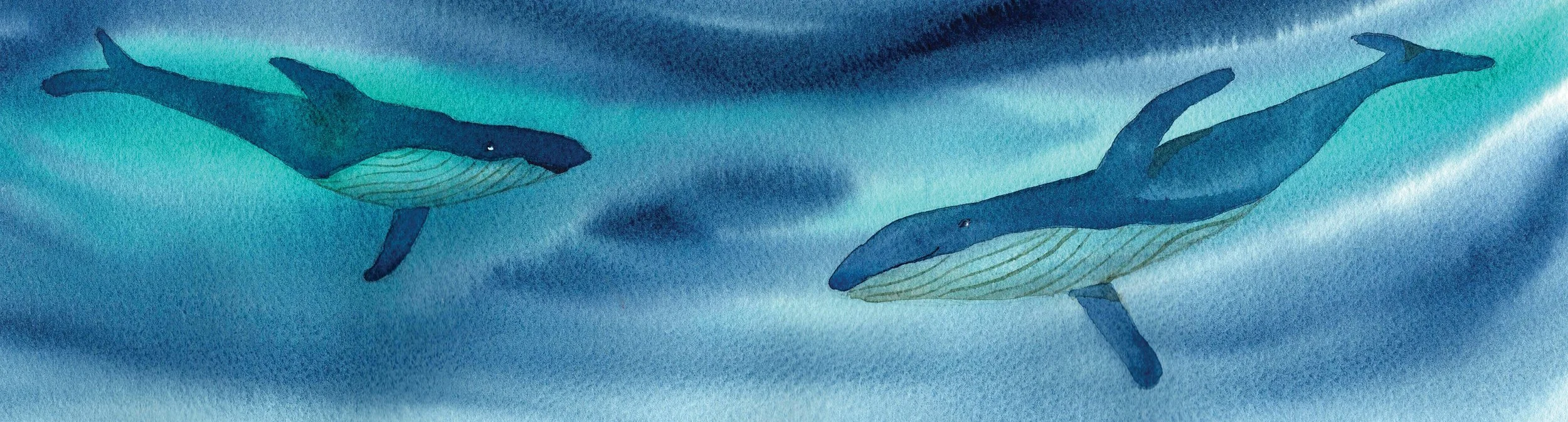 Whales Two