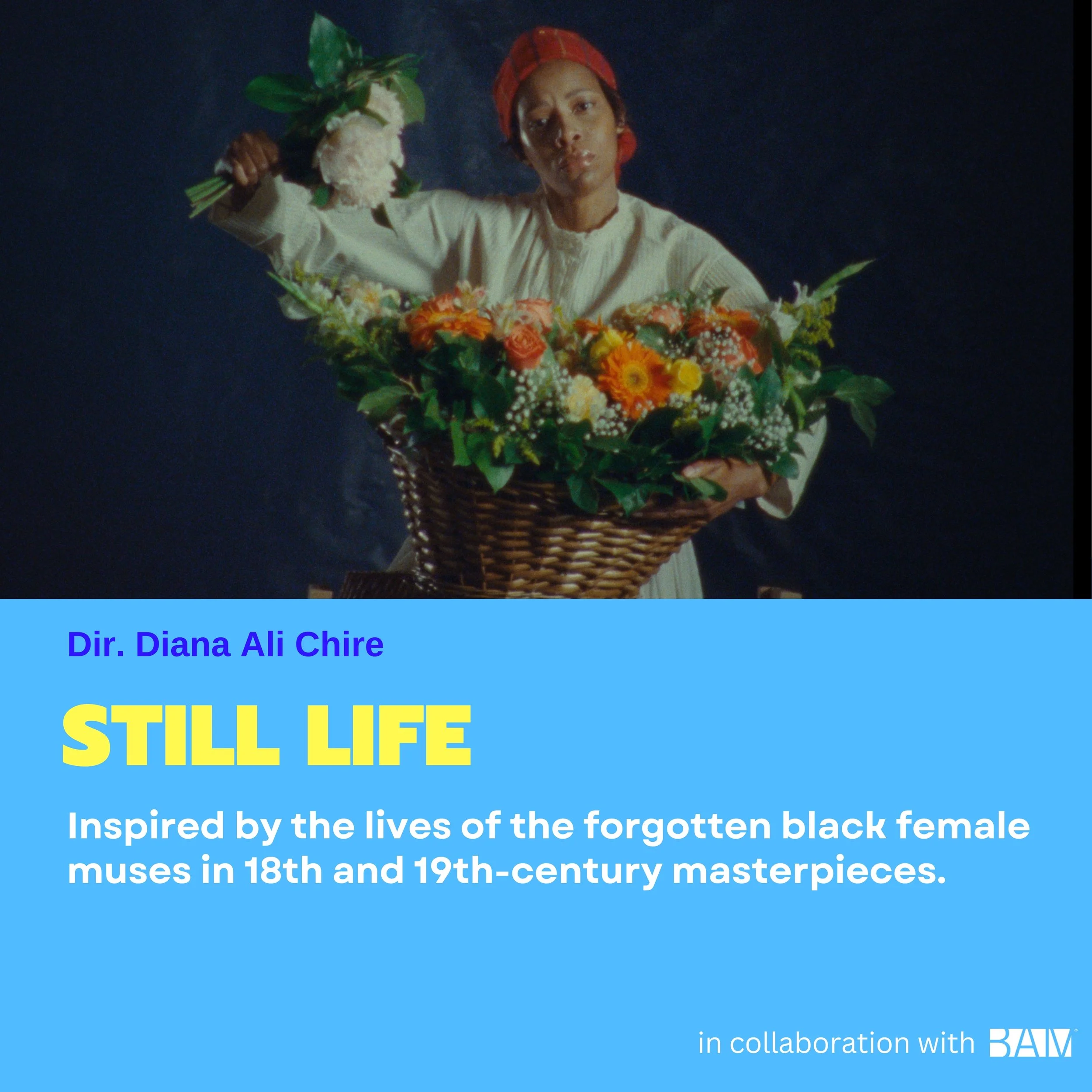 BAM-Still Life-1.jpeg