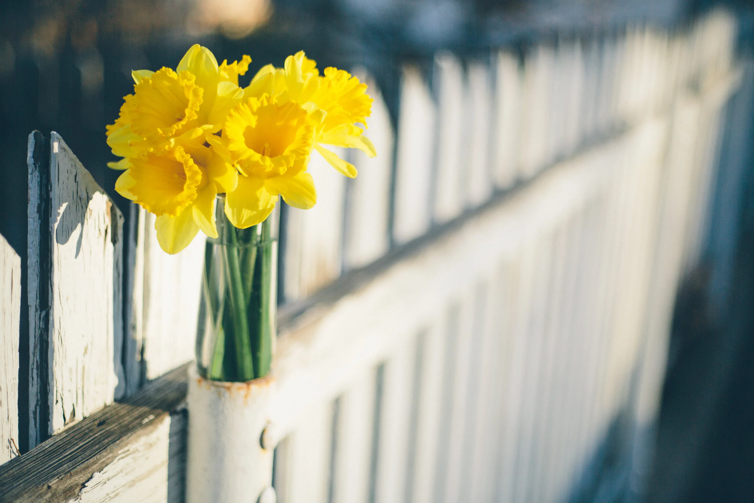 lightstock_121024_full_user_43215557.jpg