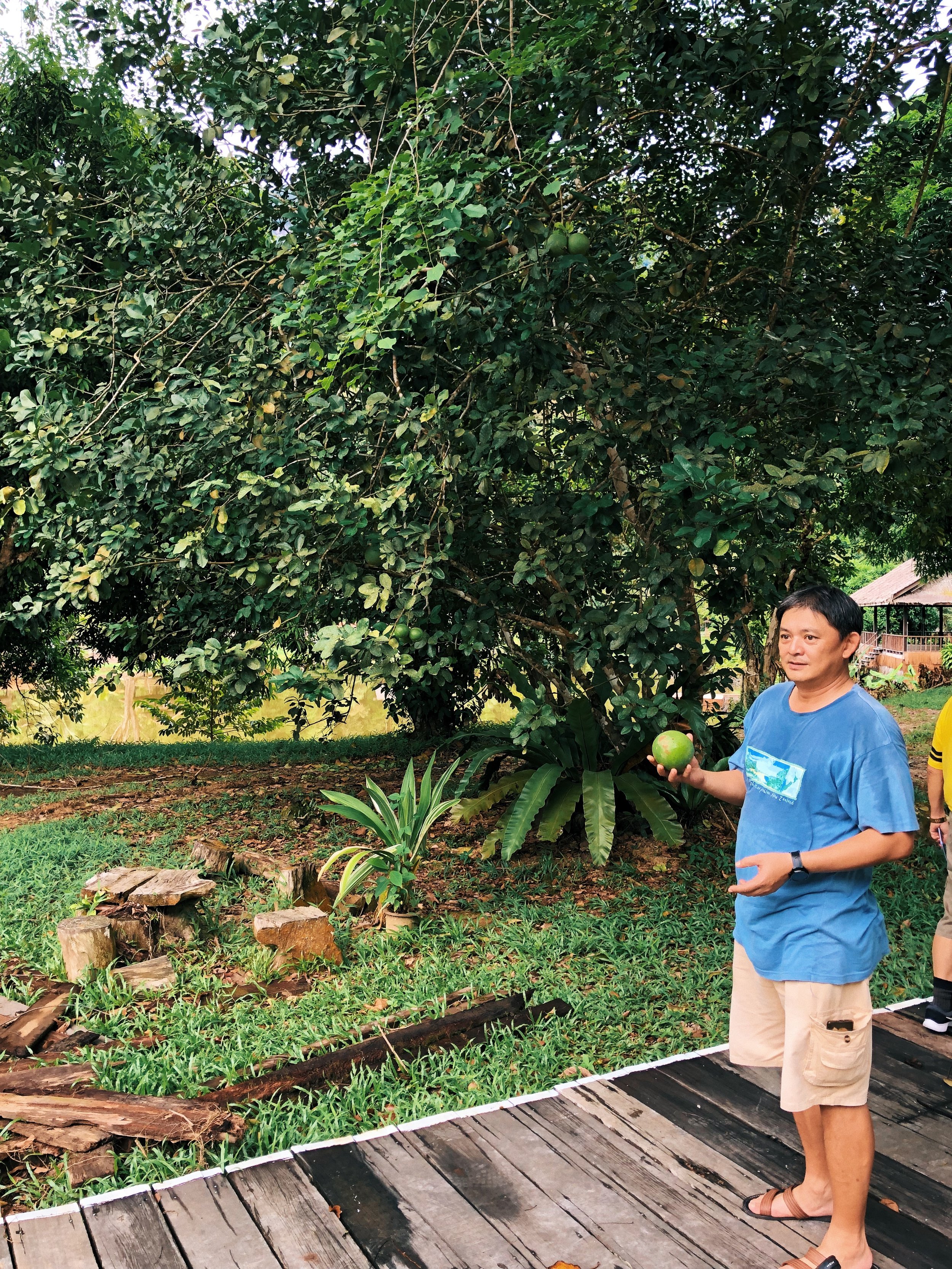 Uncle Eric holding a pomelo