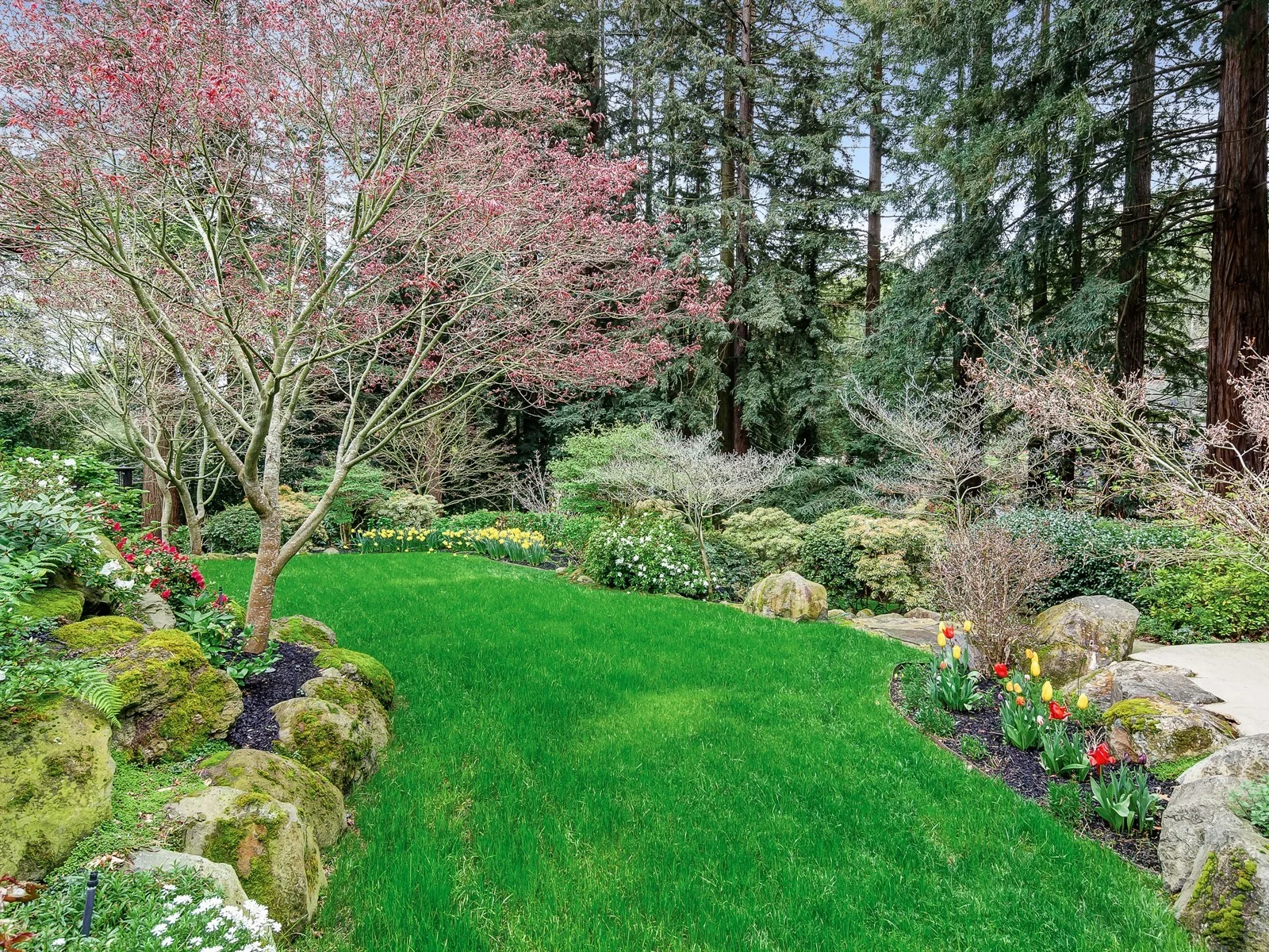 034_Backyard.jpg