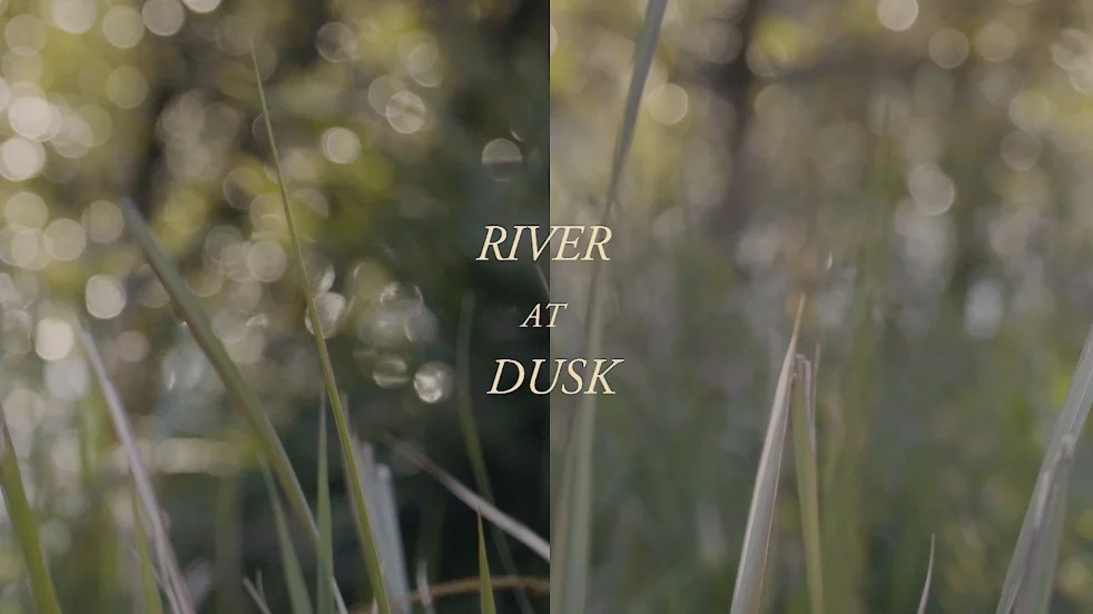 RIVER AT DUSKA river bathed in the last golden light of the day…