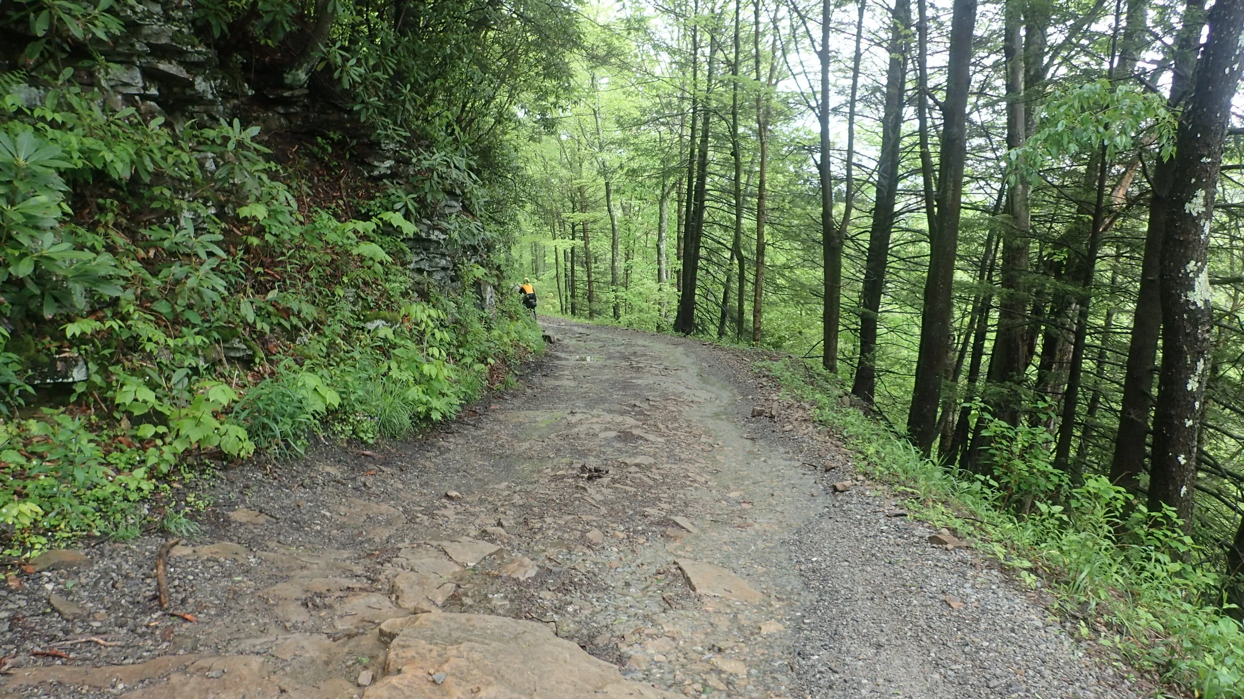 Heading into Bemis, WV