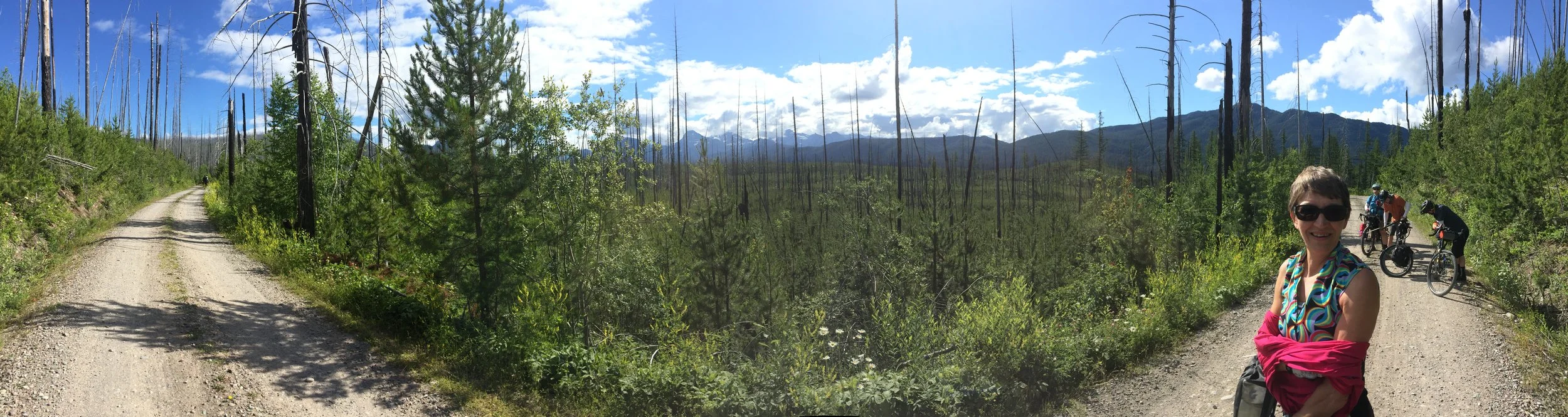 Inside North Fork Road