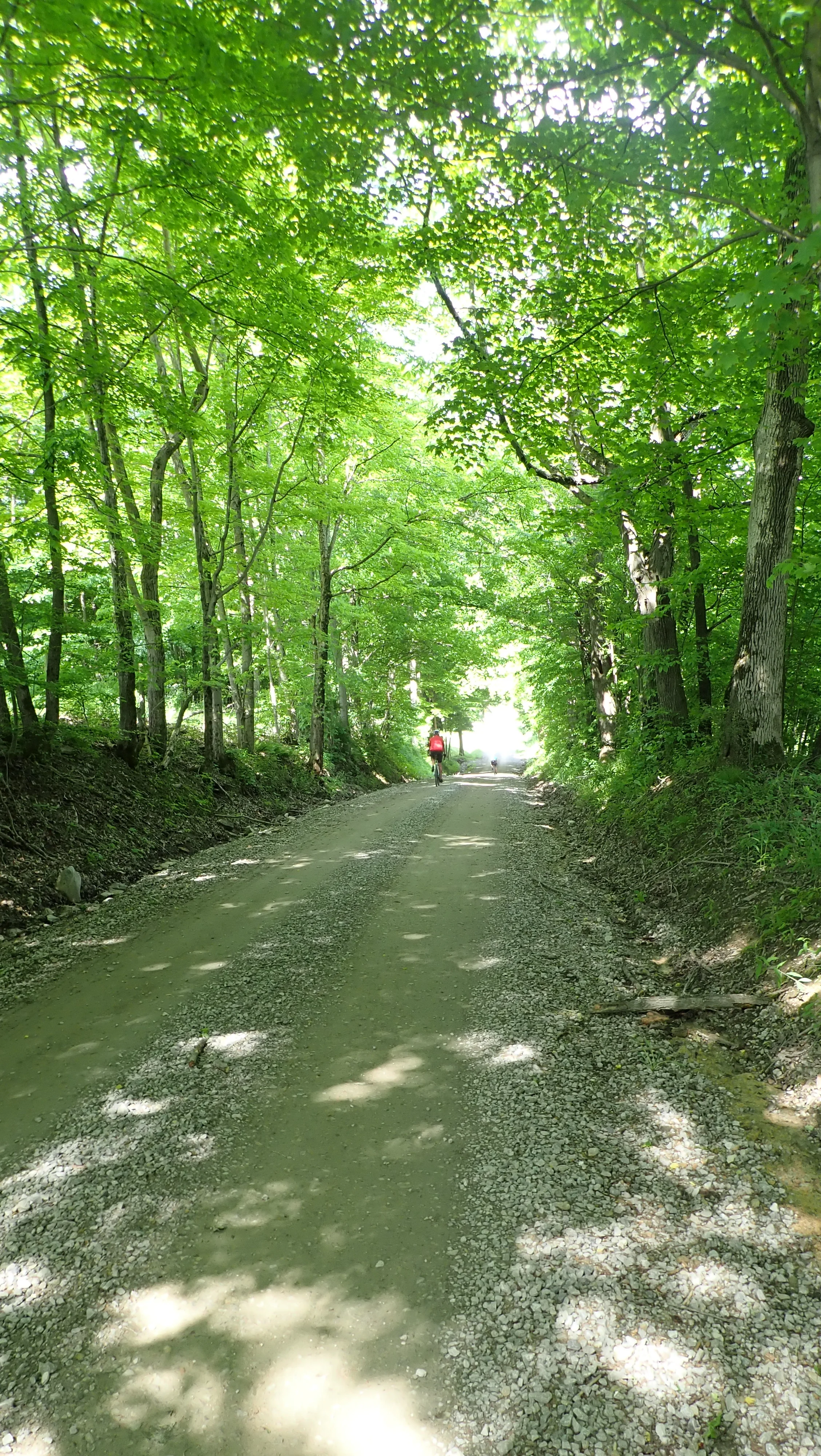 Ohio Gravel Grinders Recap Flint Ridge Gravel Grinder