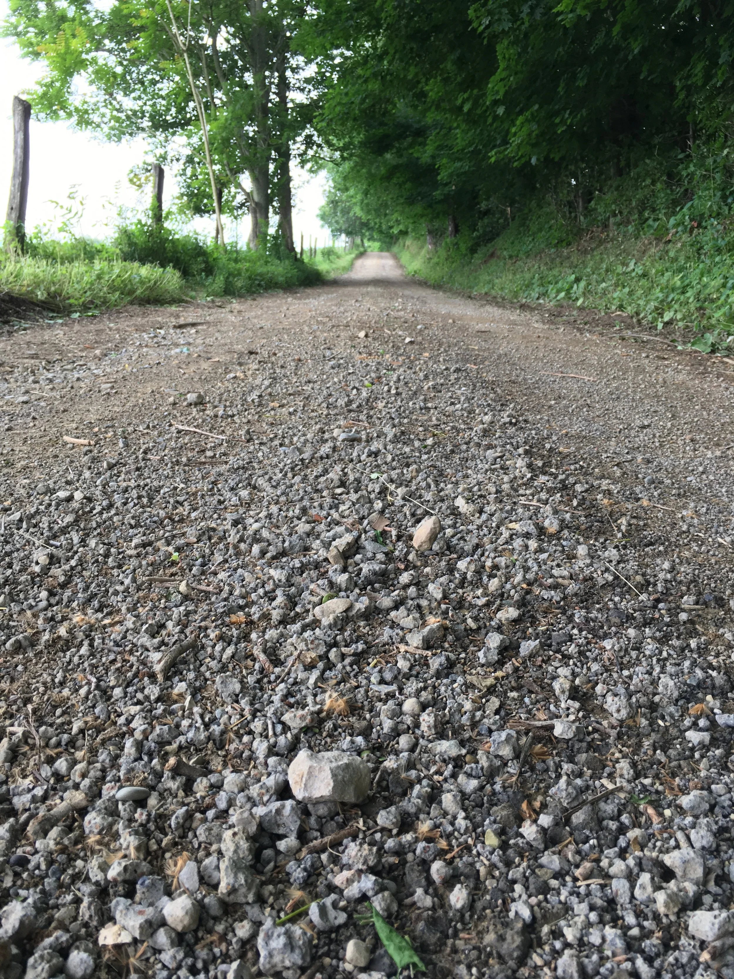Ohio Gravel Grinders Recap Bladensburg North Gravel Grinder