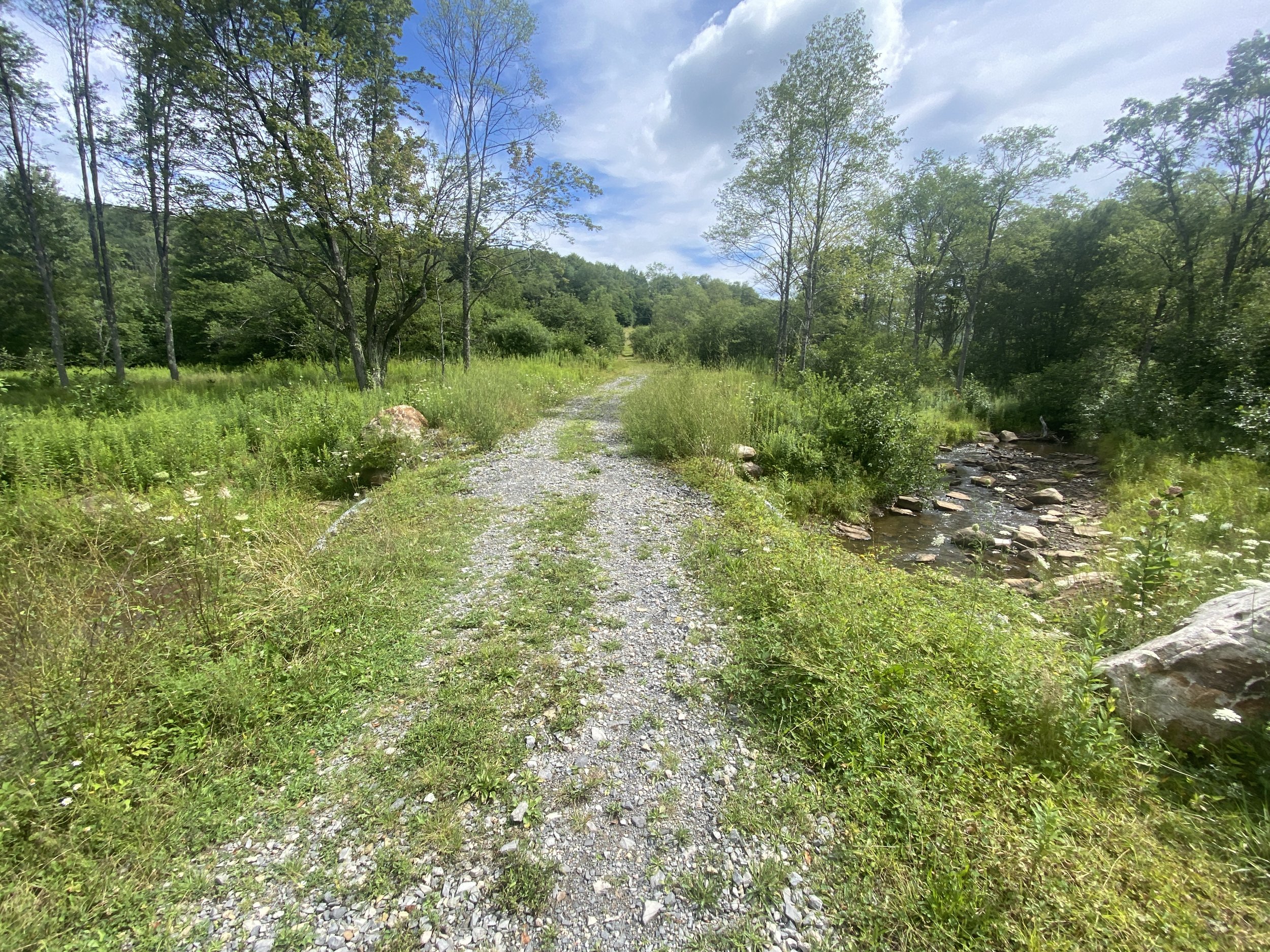 Sand run crossing