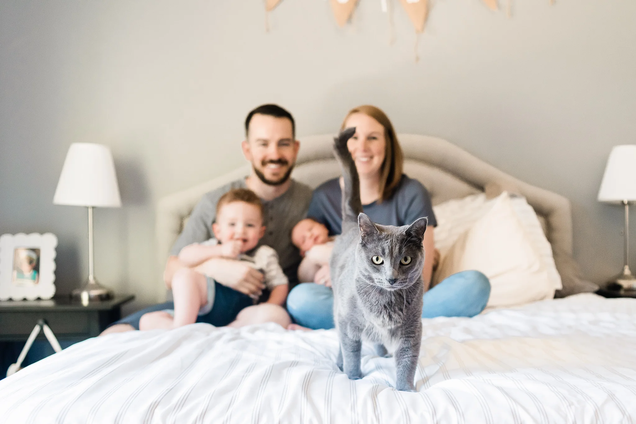 cat walking on bed with family in the background, newborn lifestyle photography, portland oregon, hillsboro oregon, in home newborn session, baby boy, portland newborn photographer