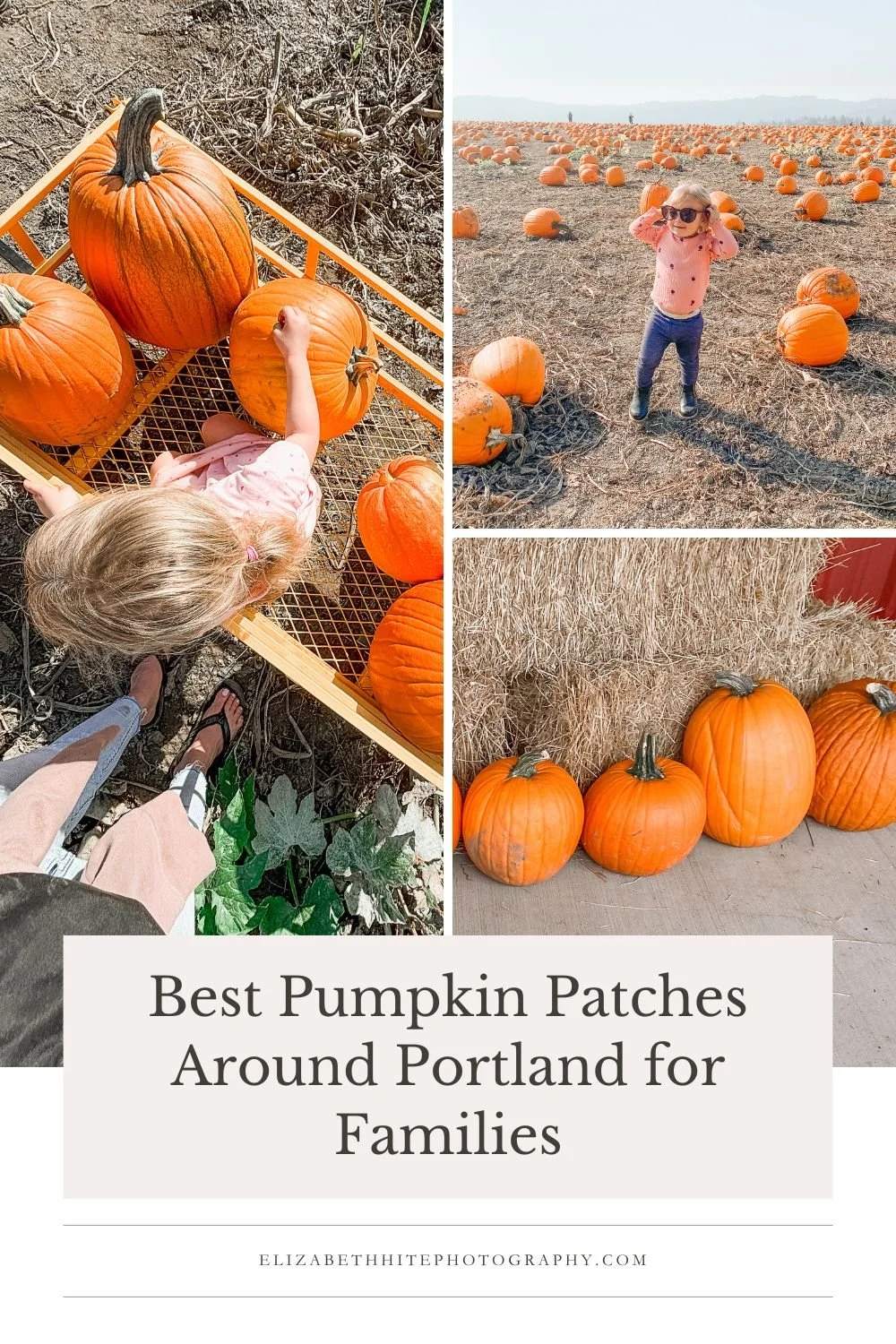 Best Pumpkin Patches Portland for Families