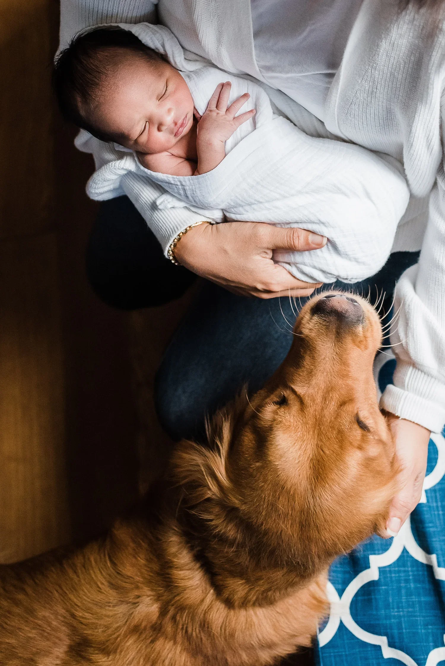 In-Home+Newborn+Session+with+Pup+_+Tigard.webp