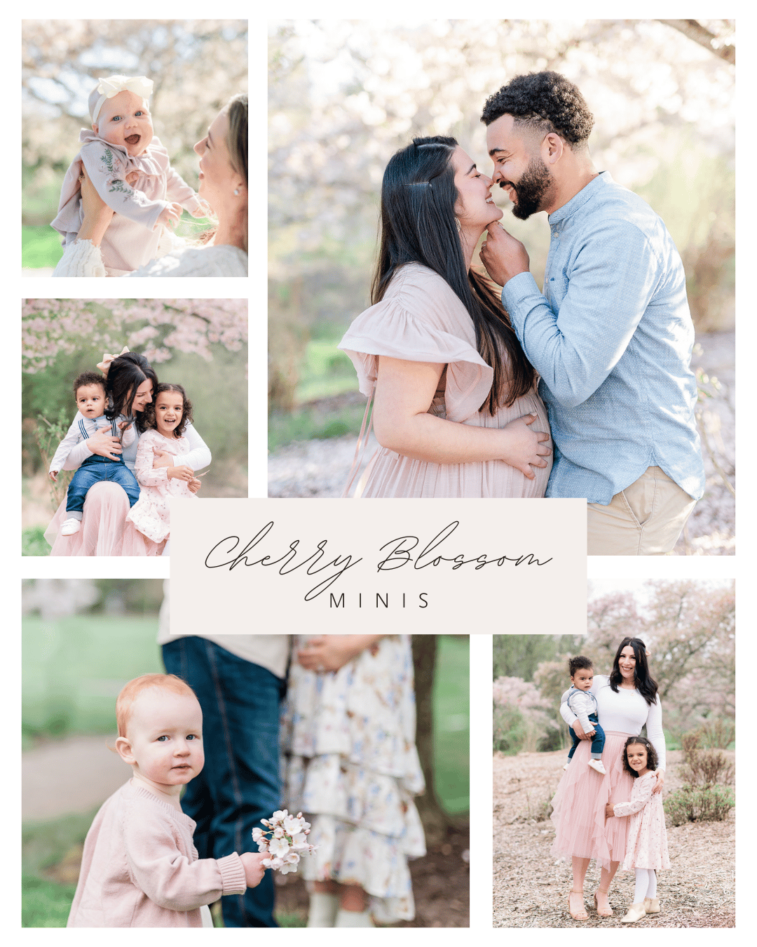 Cherry Blossom trees and Family Photos
