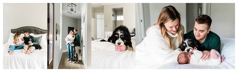 How to Include Your Dog with New Baby in Your Newborn Photoshoot
