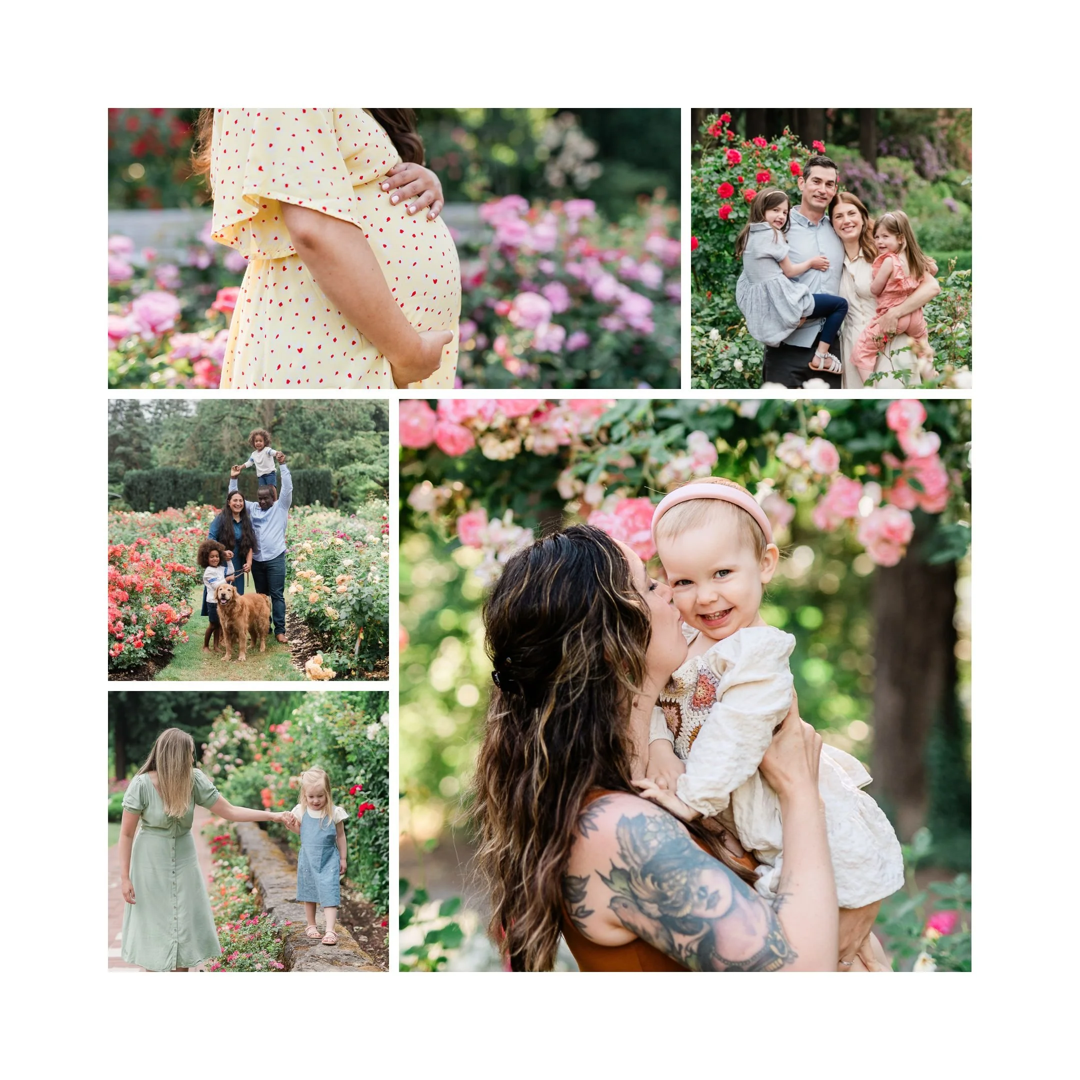 Family photos at Portland Rose Garden