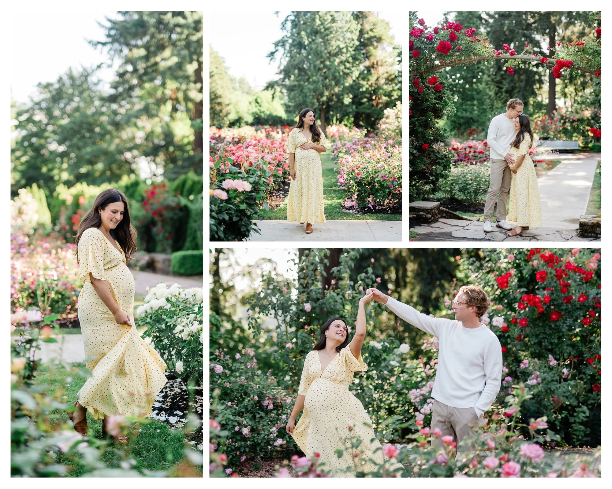 Maternity and couples photography session at the International Rose Test Garden featuring a pregnant woman in a yellow dress among blooming roses