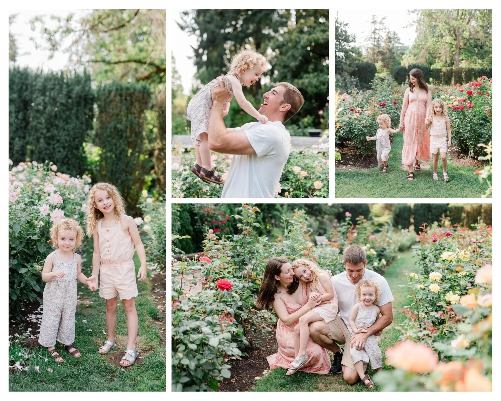 Family photography session with young children walking through pastel rose gardens at the International Rose Test Garden during golden hour