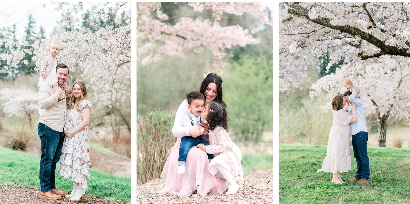 family photography at portland cherry blossom trees