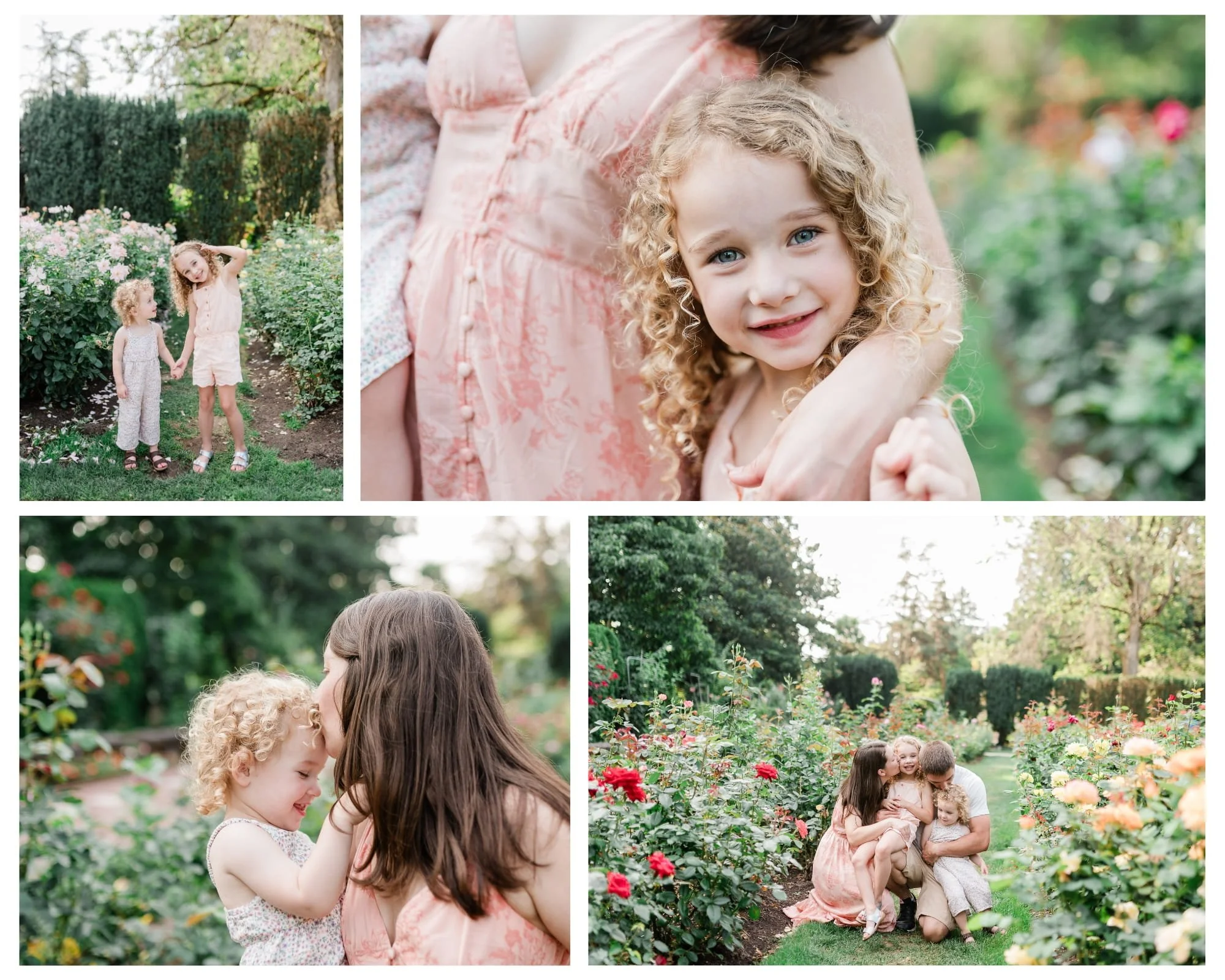 Family Photos with Toddlers at Rose Garden