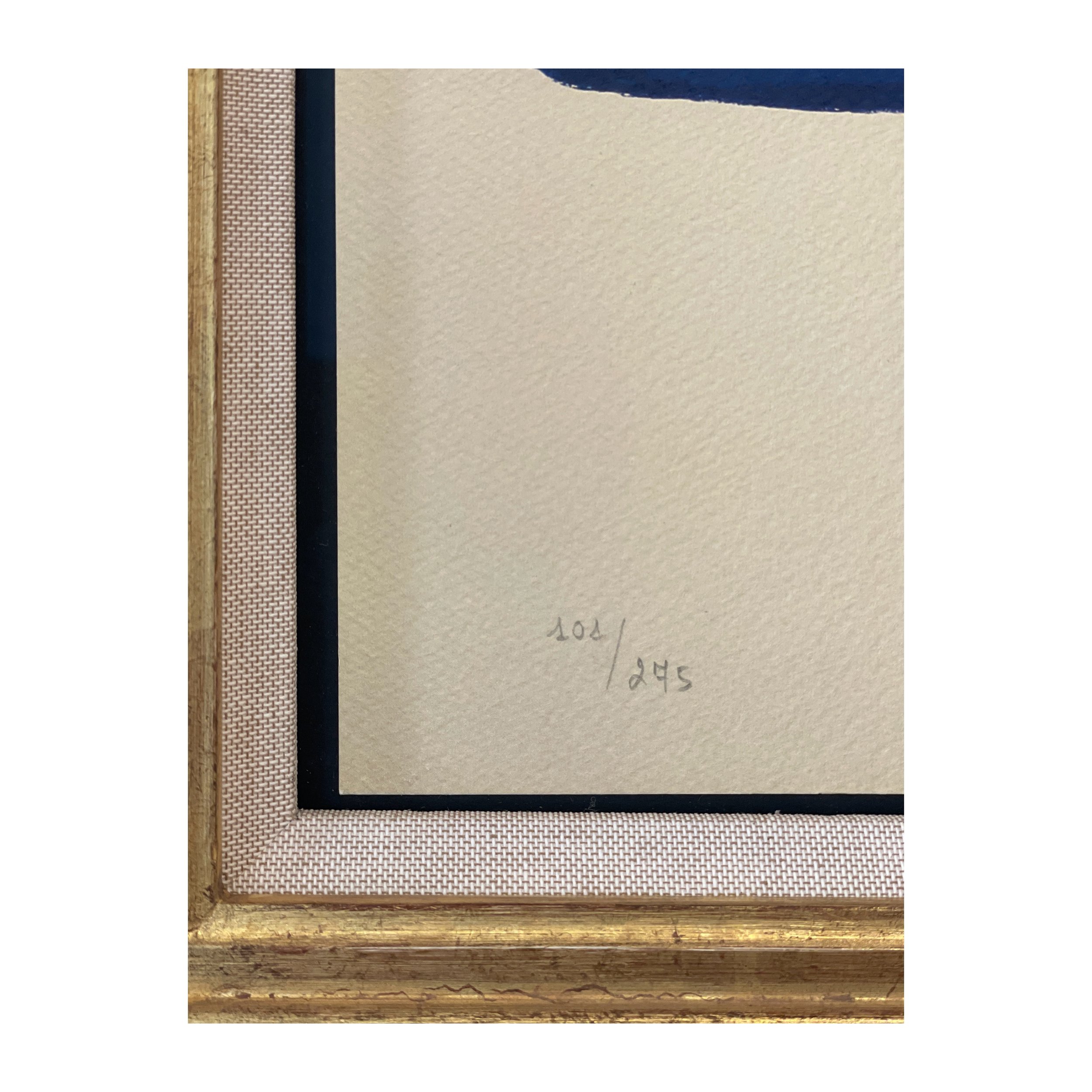 Whitagram-Image.jpeg