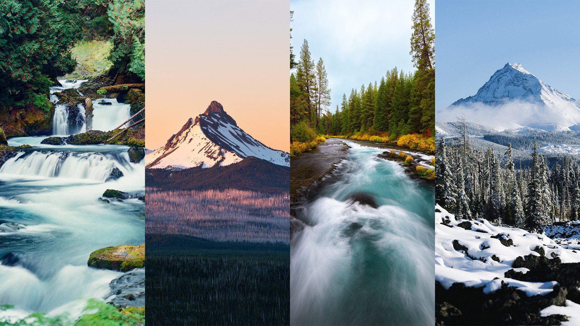 Fine Art Print Store Thumbnail.jpg