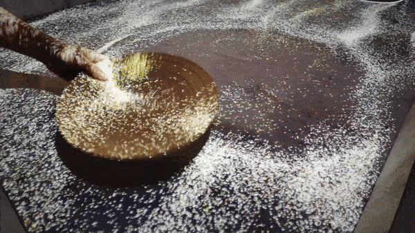 aef0aa29-fd03-4325-96c4-c1204e66ce5e_rw_600.gif