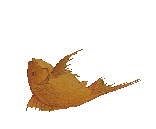 2c95b6fd-ba11-4f13-b500-103161b9f68e_rw_600.gif