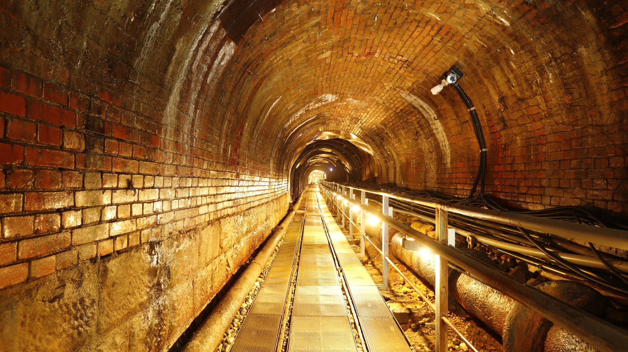 滿山盡是黃金車— Play Design Lab 玩味創研