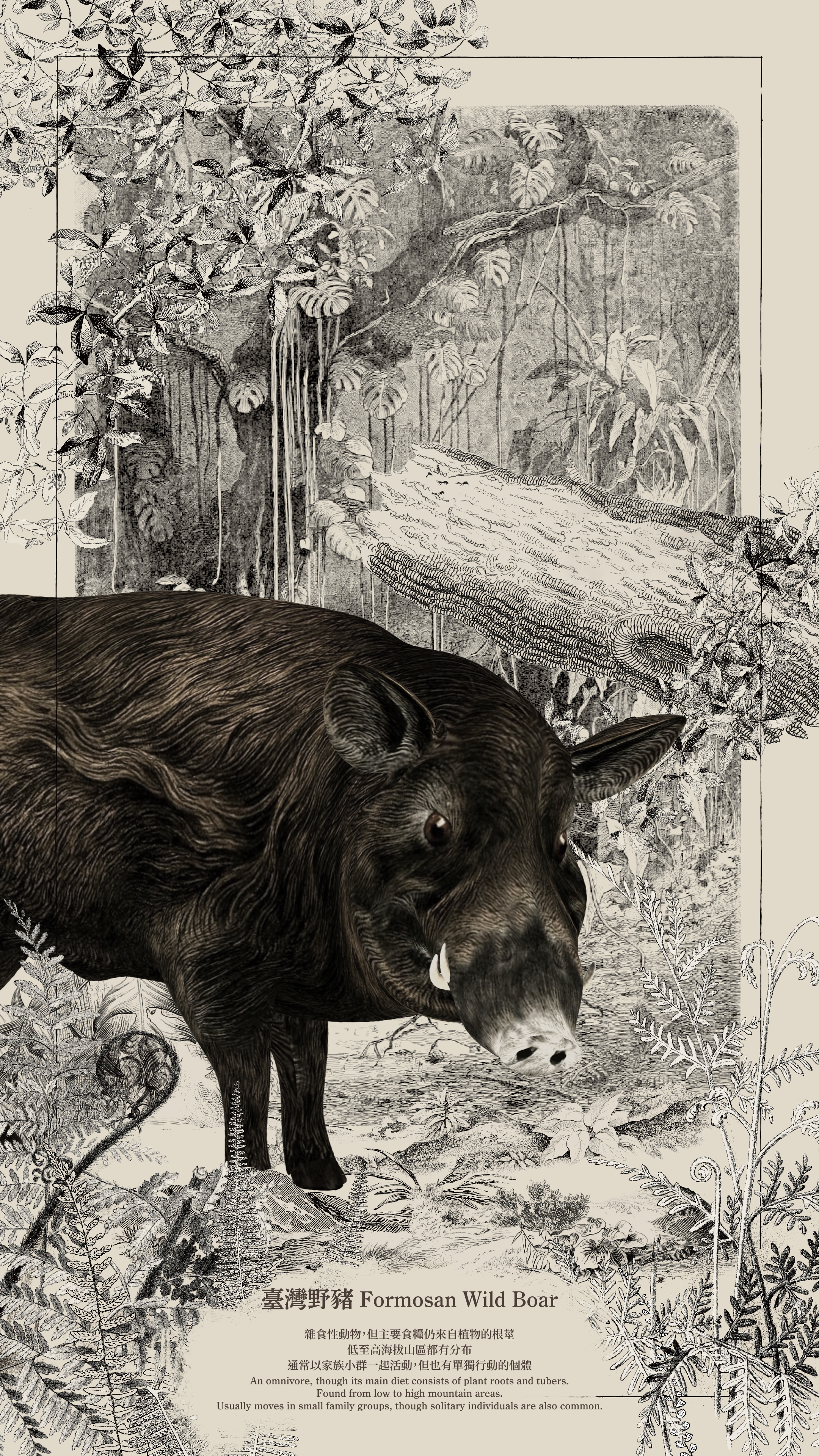 03_wildboar_00211.png
