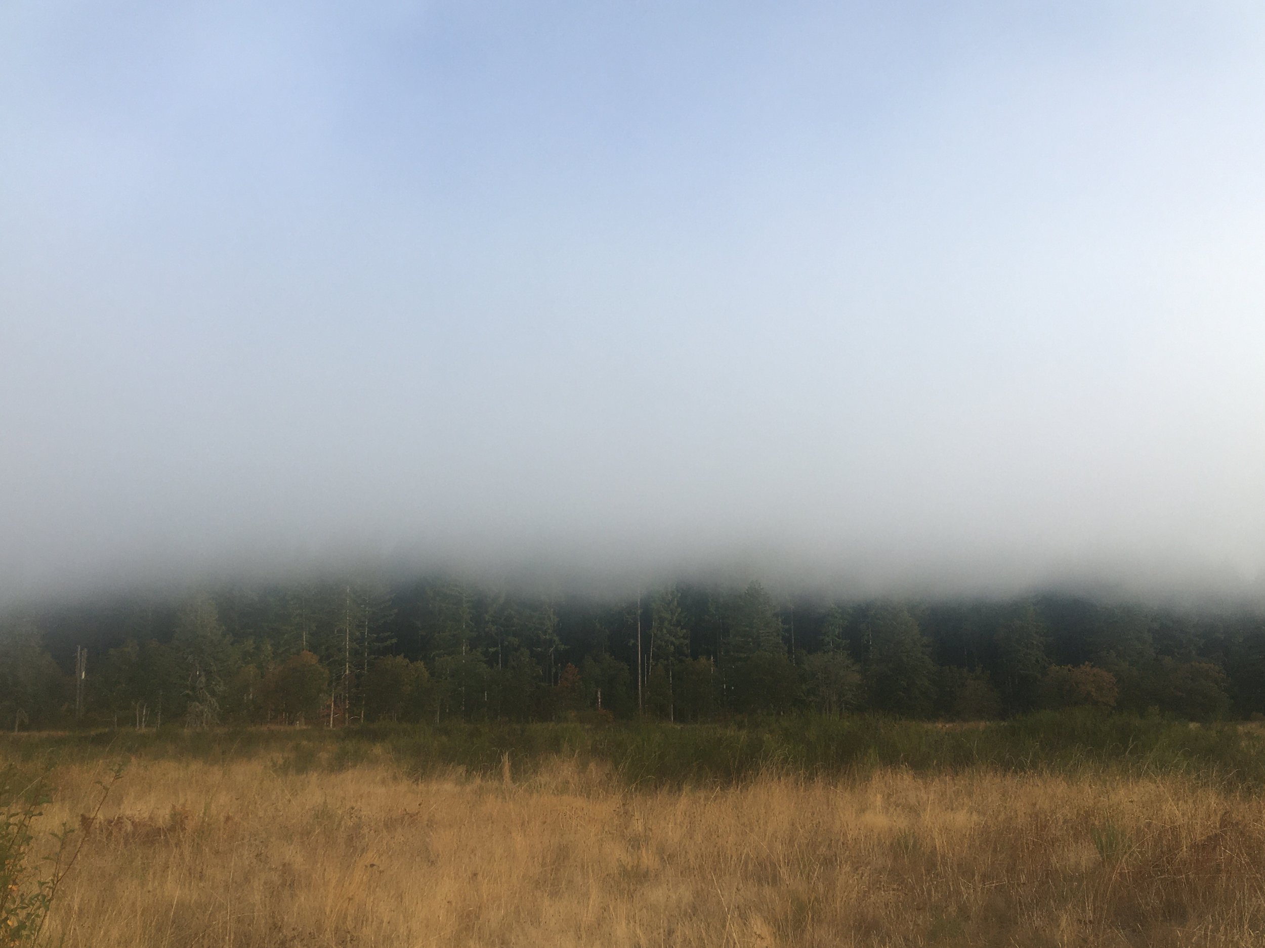 IMG_4303.jpeg