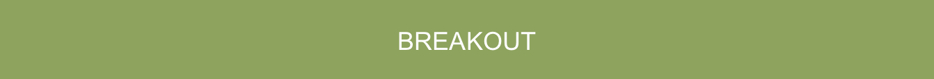 BREAKOUT.png