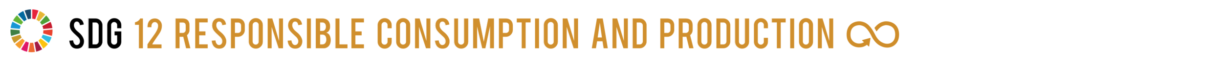 SDG 12.png