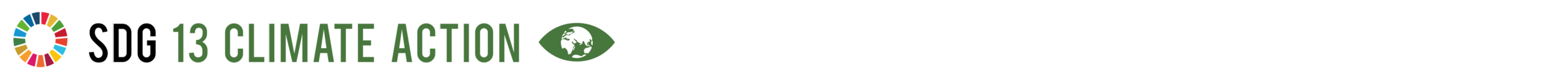 SDG 13.png
