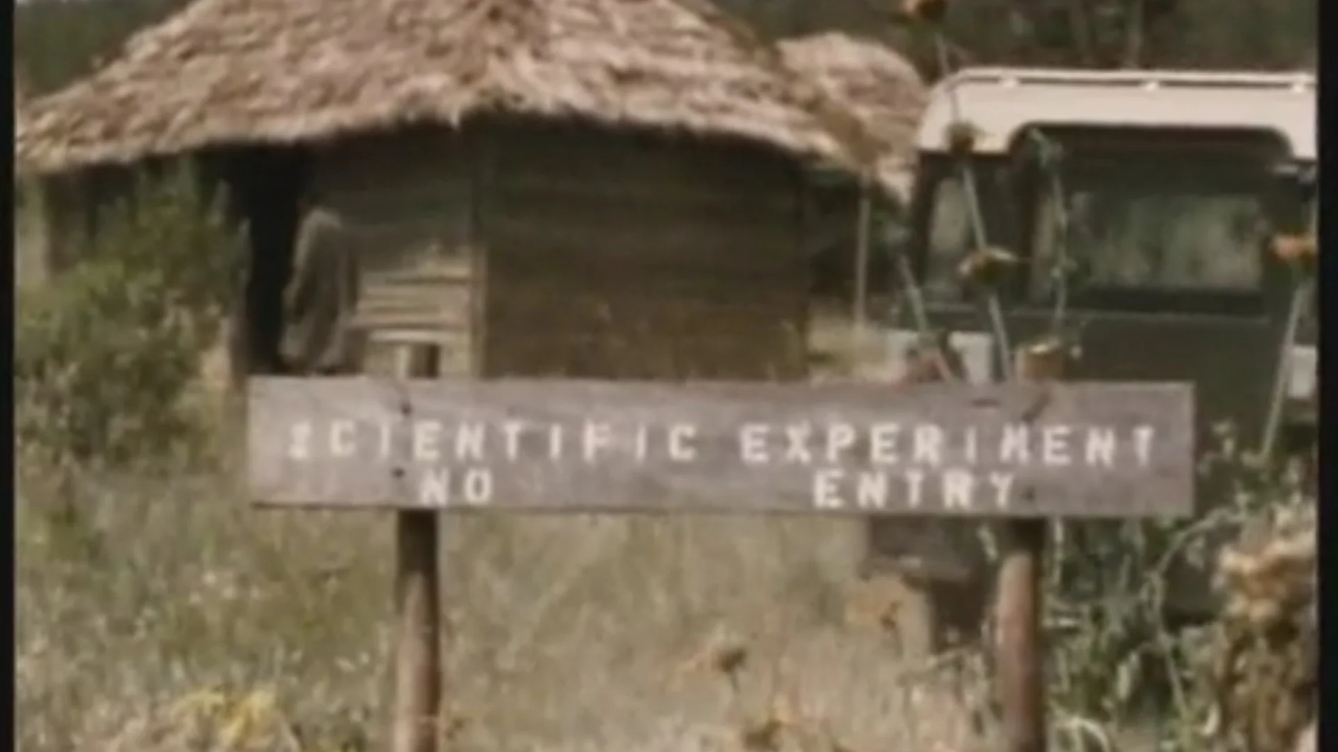 campsite.jpg