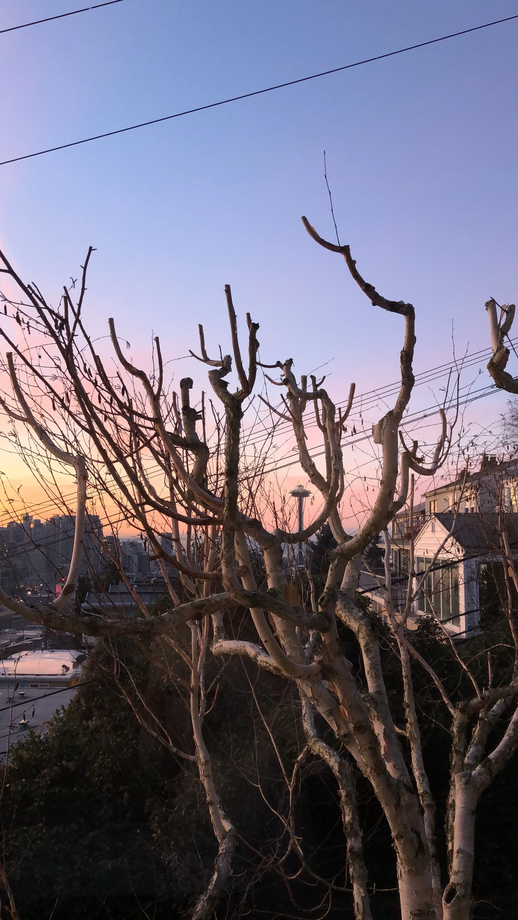 B71553E6-5C77-4F98-9D31-A7A09CAC0370 (1).jpeg