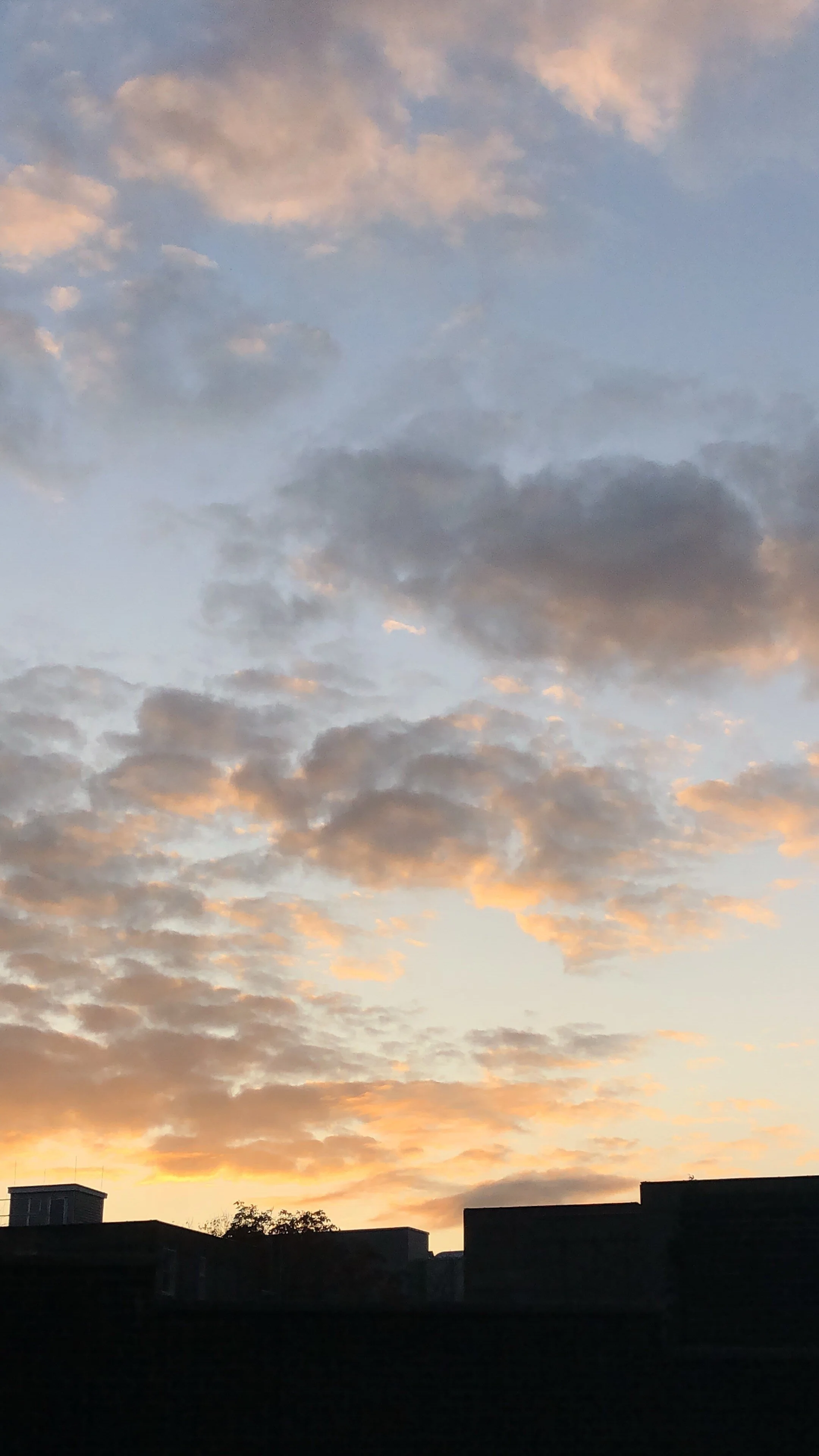 1B1BAD2A-06DC-4A6B-99AE-EE5D4747E3BB (1).jpeg