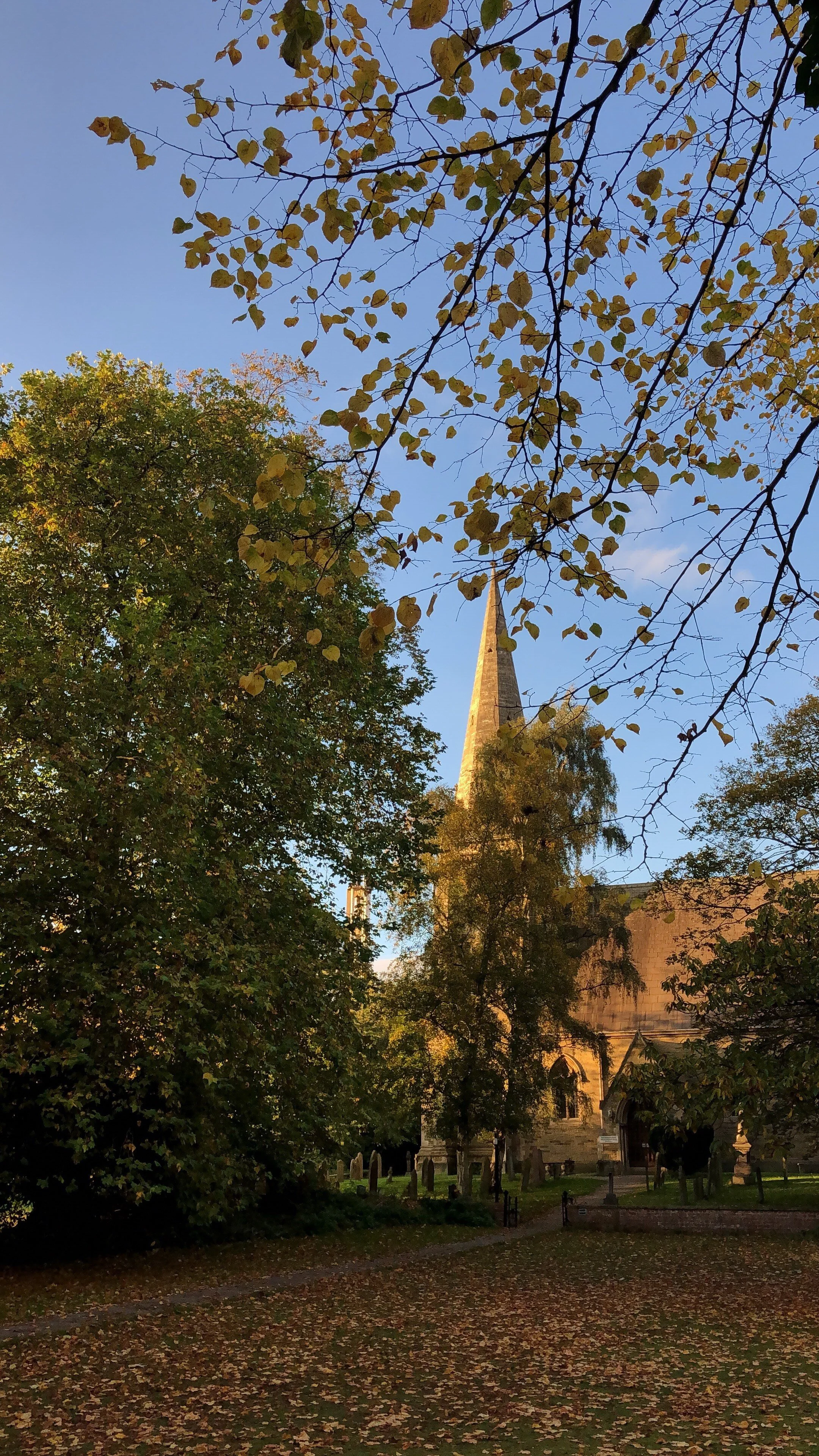 F028C1EB-88C5-47E2-876B-E21AEDE3112D (1).jpeg