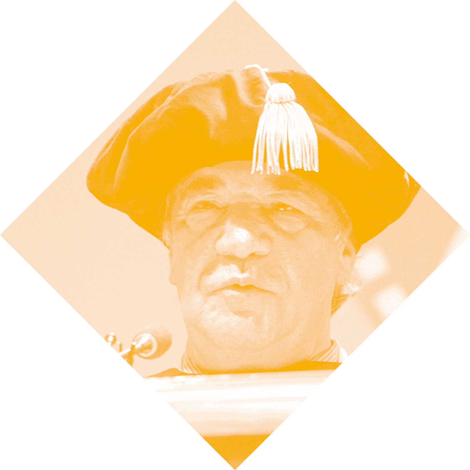 FDP_author_fayez.png