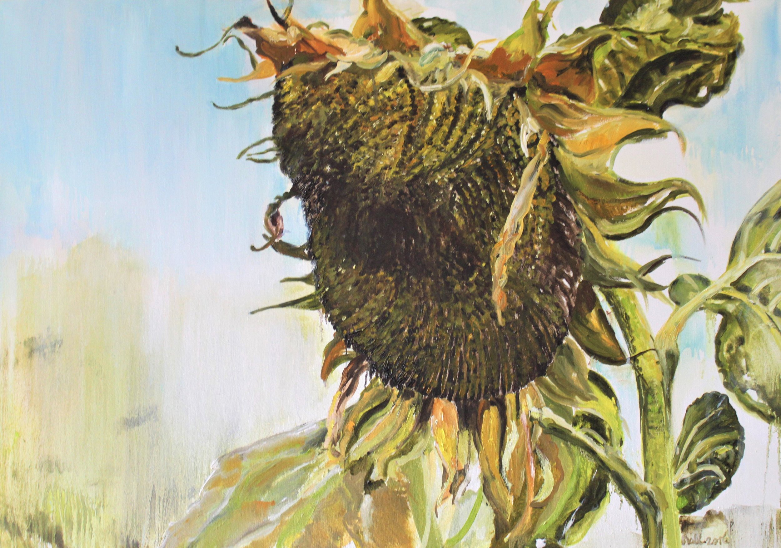 Zonnebloem 2016, olieverf op linnen, 70 x 100 cm