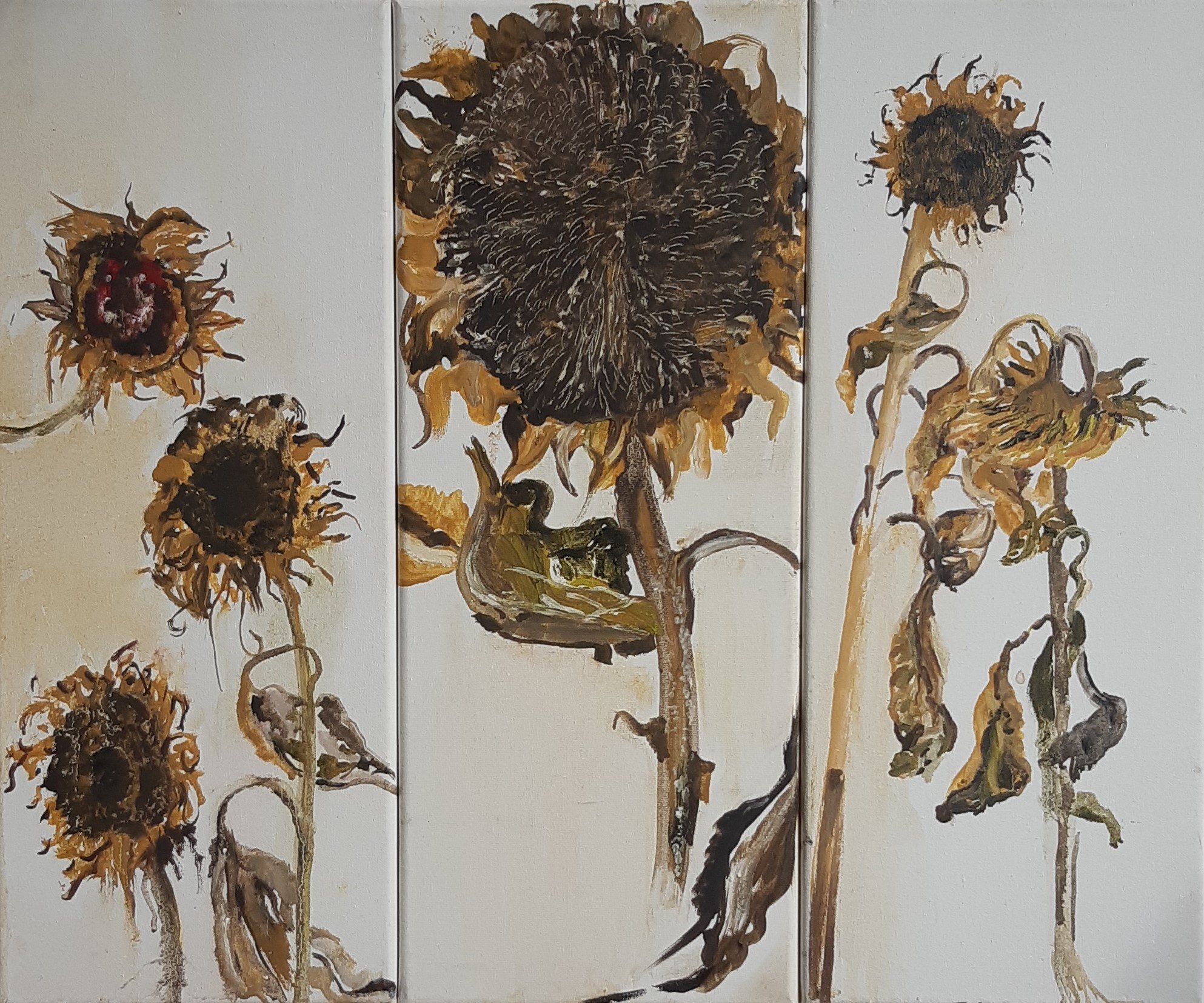 Zonnebloemen 2016, olieverf op linnen, 50 x 60 cm