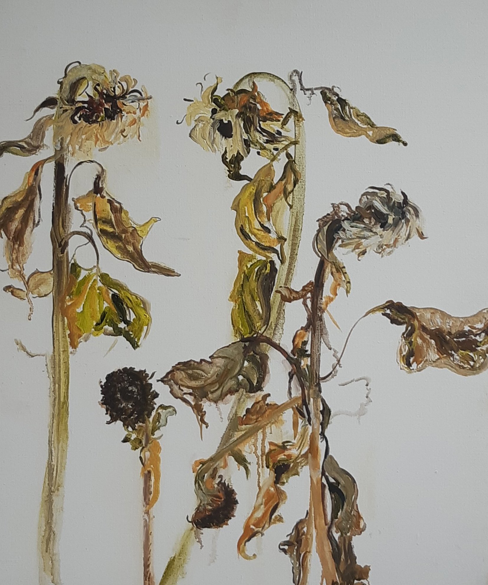 Zonnebloemen 2016, olieverf op linnen, 50 x 60 cm