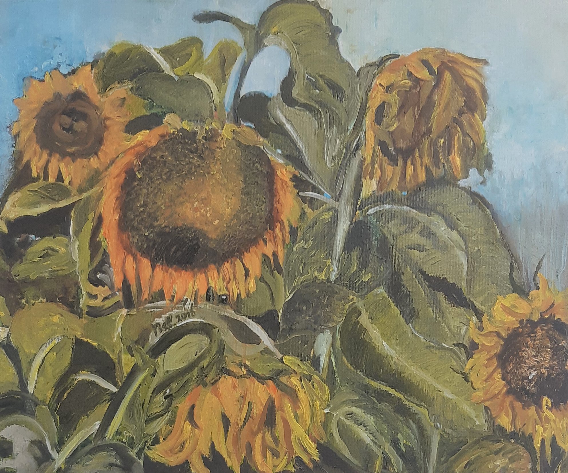 Zonnebloem 2016, olieverf op linnen, 50 x 60 cm