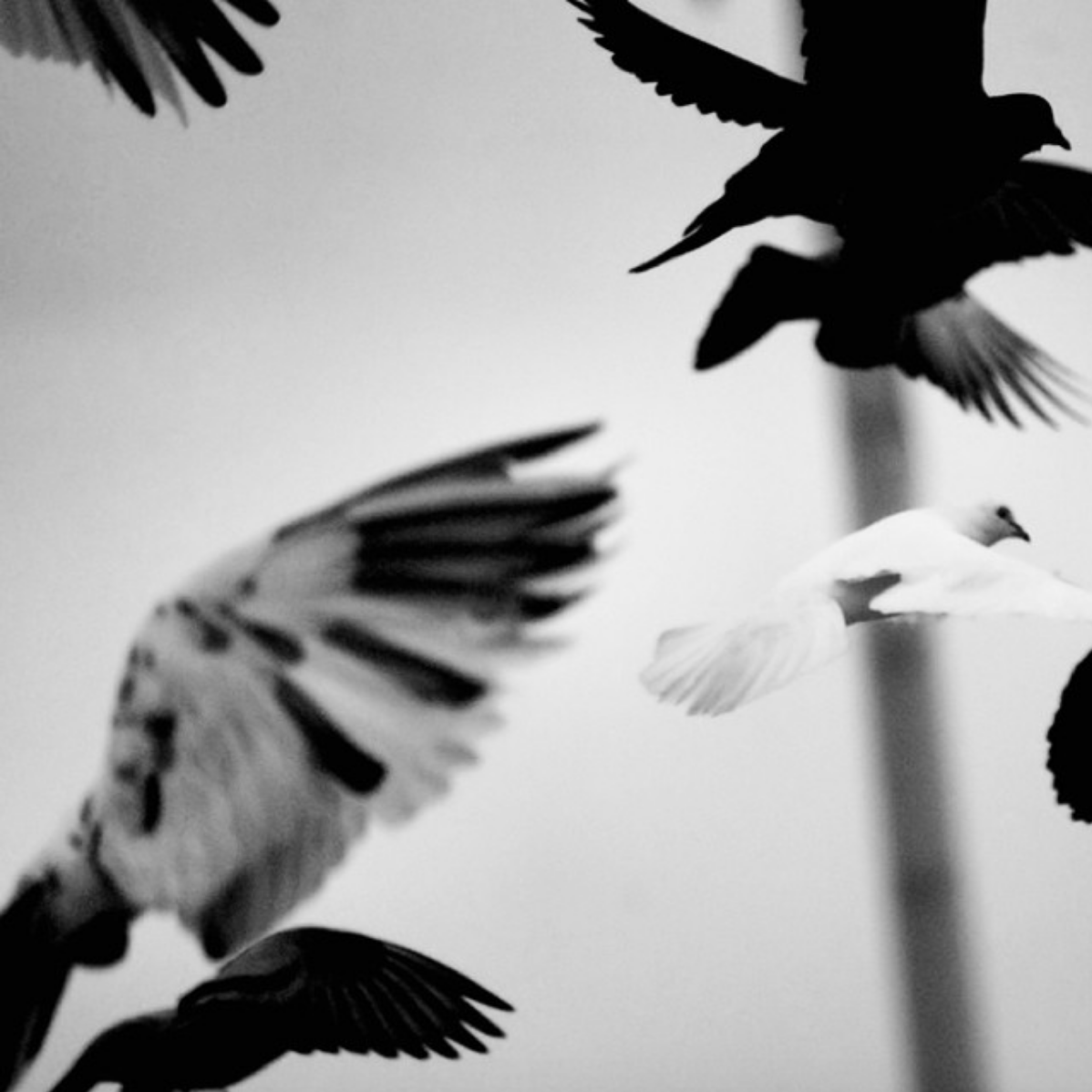 Screen Shot 2018-04-24 at 1.47.45 AM.png