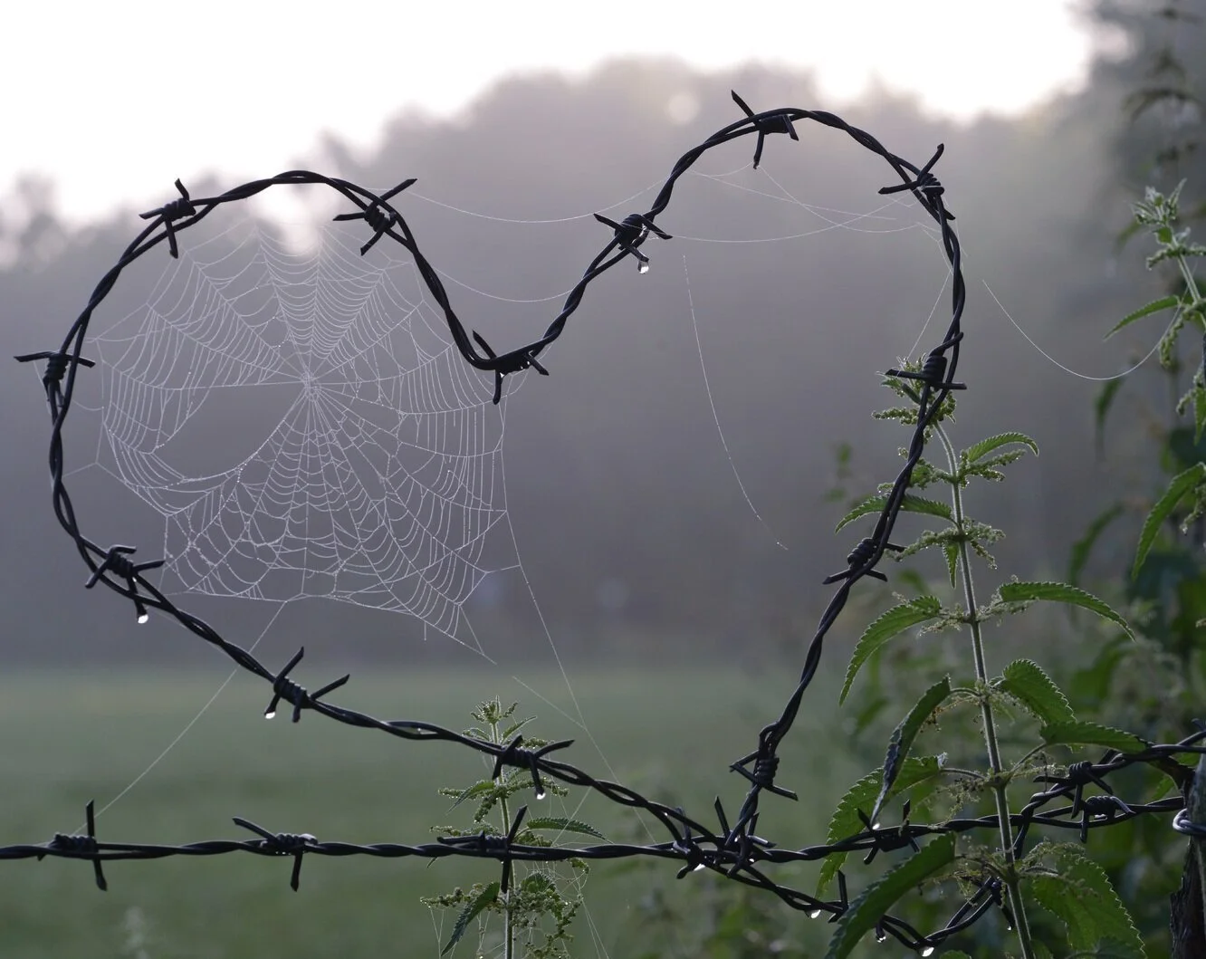 Does It Bring You Joy? A heart-cleaning how-to.