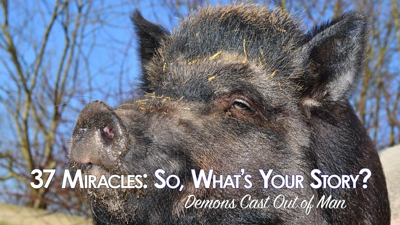 37 Miracles: So, What's Your Story? — Demons Cast Out of Man