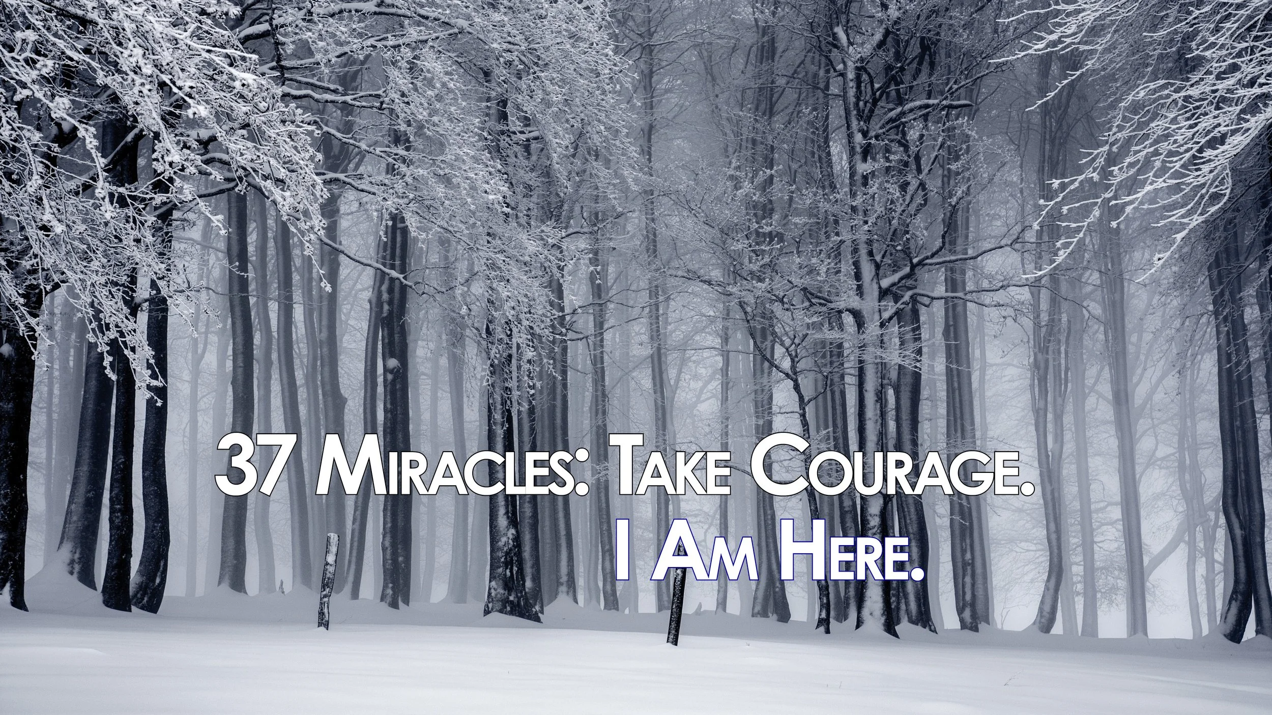 37 Miracles: Take Courage. I am here. — Jesus Walks on Water