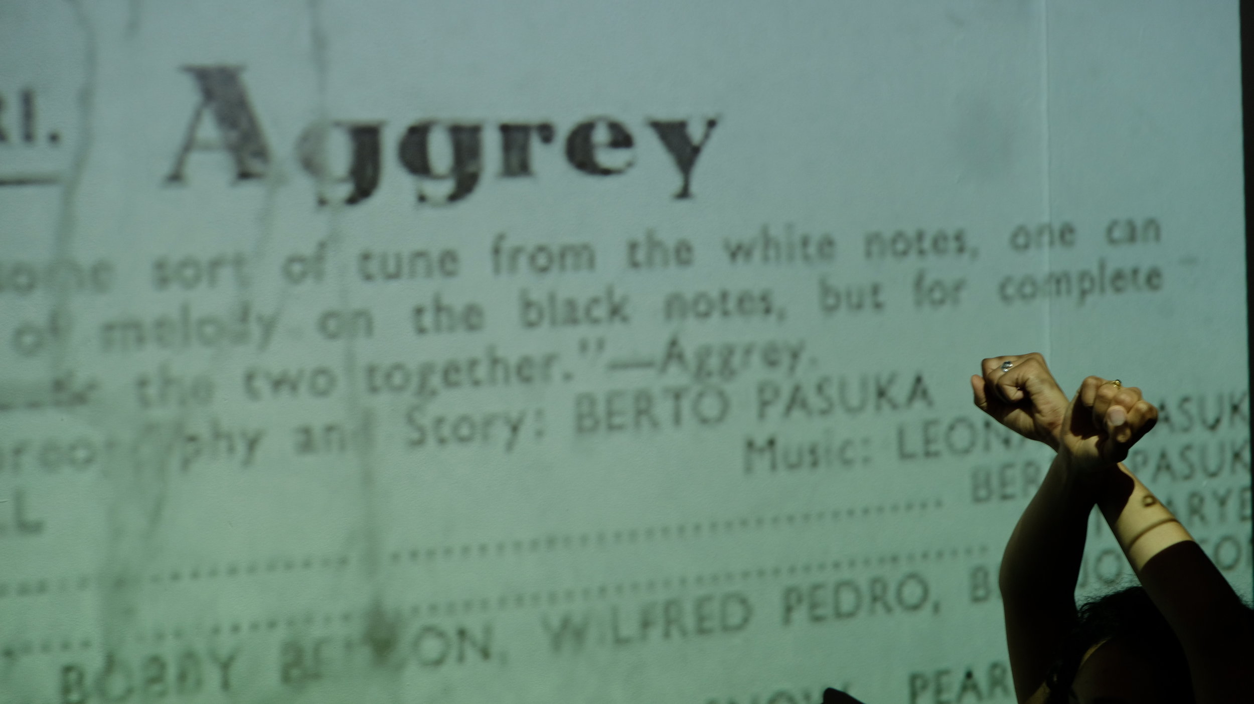 Presenting Les Ballets Negres: A Contiguous Archive, 2018