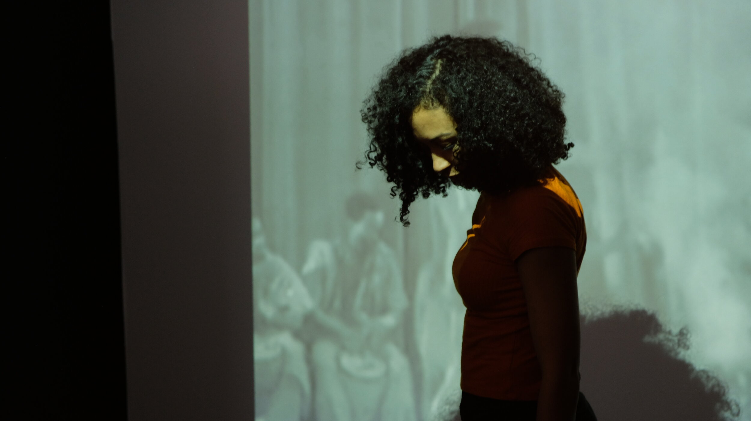 PRESENTING LES BALLETS NEGRES: A CONTIGUOUS ARCHIVE, 2018