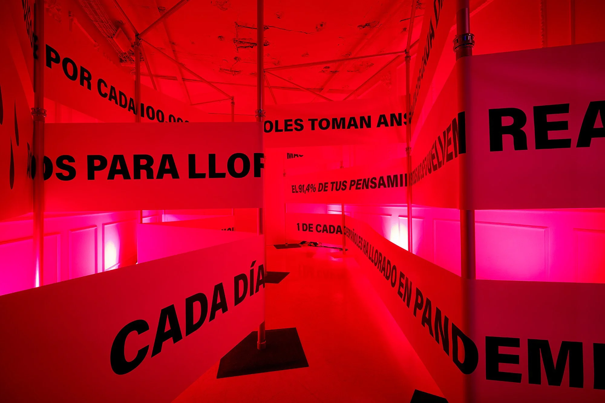Lloreria_galeria_9.jpg